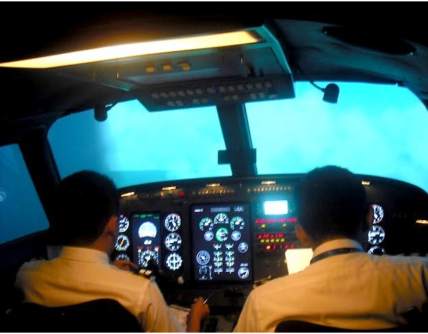 Flight simulator
