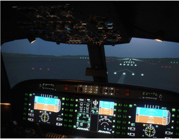 Flight simulator
